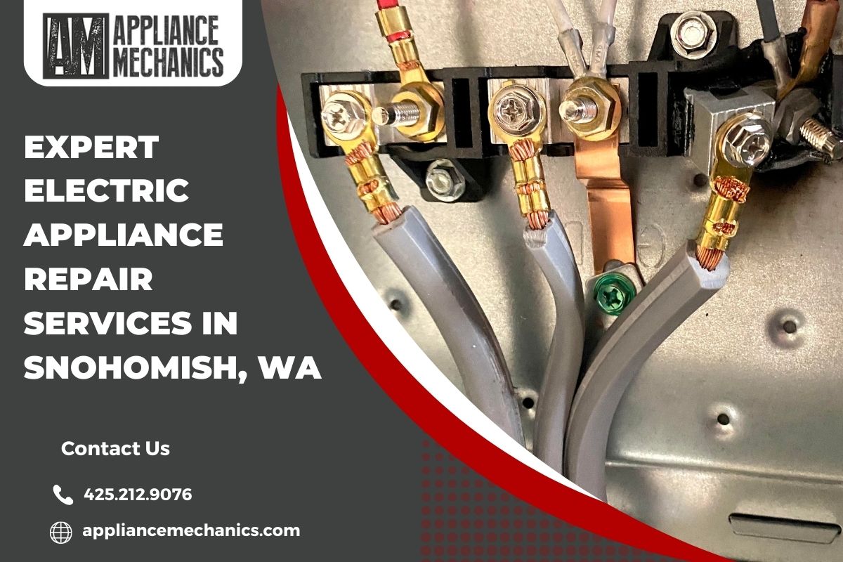 Expert Electric Appliance Repair Services in Snohomish, WA